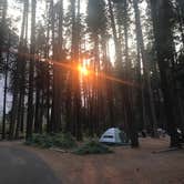 Review photo of Wawona Campground — Yosemite National Park by Savannah G., August 29, 2018