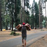 Review photo of Wawona Campground — Yosemite National Park by Savannah G., August 29, 2018