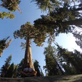 Review photo of Canyon View Group Sites — Kings Canyon National Park by Savannah G., August 29, 2018