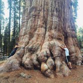 Review photo of Canyon View Group Sites — Kings Canyon National Park by Savannah G., August 29, 2018