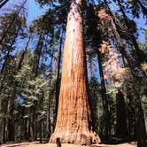 Review photo of Canyon View Group Sites — Kings Canyon National Park by Savannah G., August 29, 2018