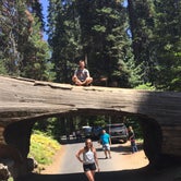 Review photo of Canyon View Group Sites — Kings Canyon National Park by Savannah G., August 29, 2018