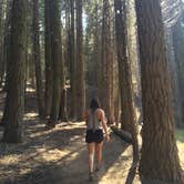 Review photo of Canyon View Group Sites — Kings Canyon National Park by Savannah G., August 29, 2018