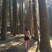Review photo of Canyon View Group Sites — Kings Canyon National Park by Savannah G., August 29, 2018