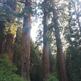 Review photo of Canyon View Group Sites — Kings Canyon National Park by Savannah G., August 29, 2018