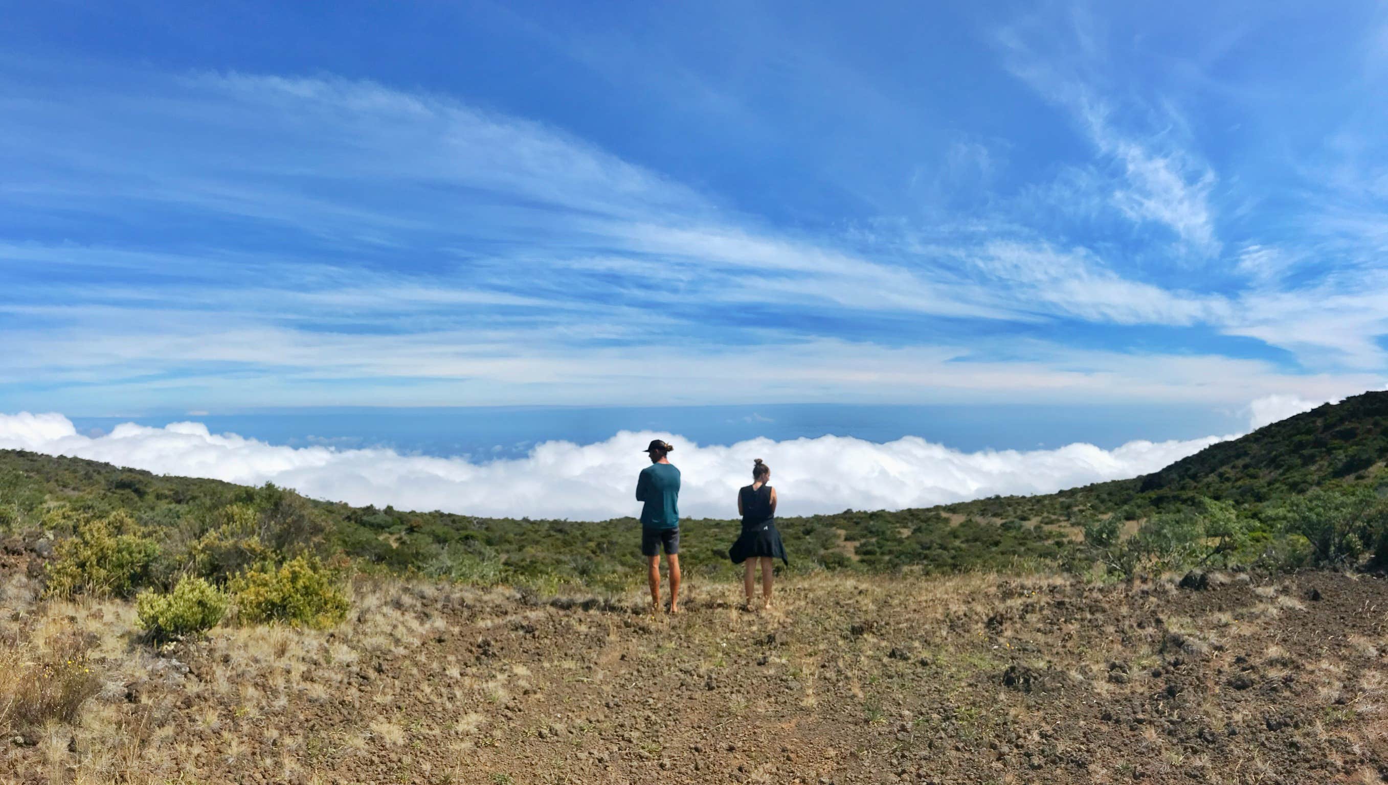 Camper-submitted photo at Polipoli Spring State Recreation Area Camping near Lahaina, HI