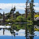 Review photo of Desolation Wilderness - Aloha Zone by Leslie R., August 29, 2018