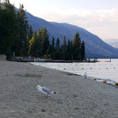 Review photo of Lake Chelan State Park Campground by Jorge H., August 29, 2018