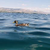 Review photo of Lake Chelan State Park Campground by Jorge H., August 29, 2018