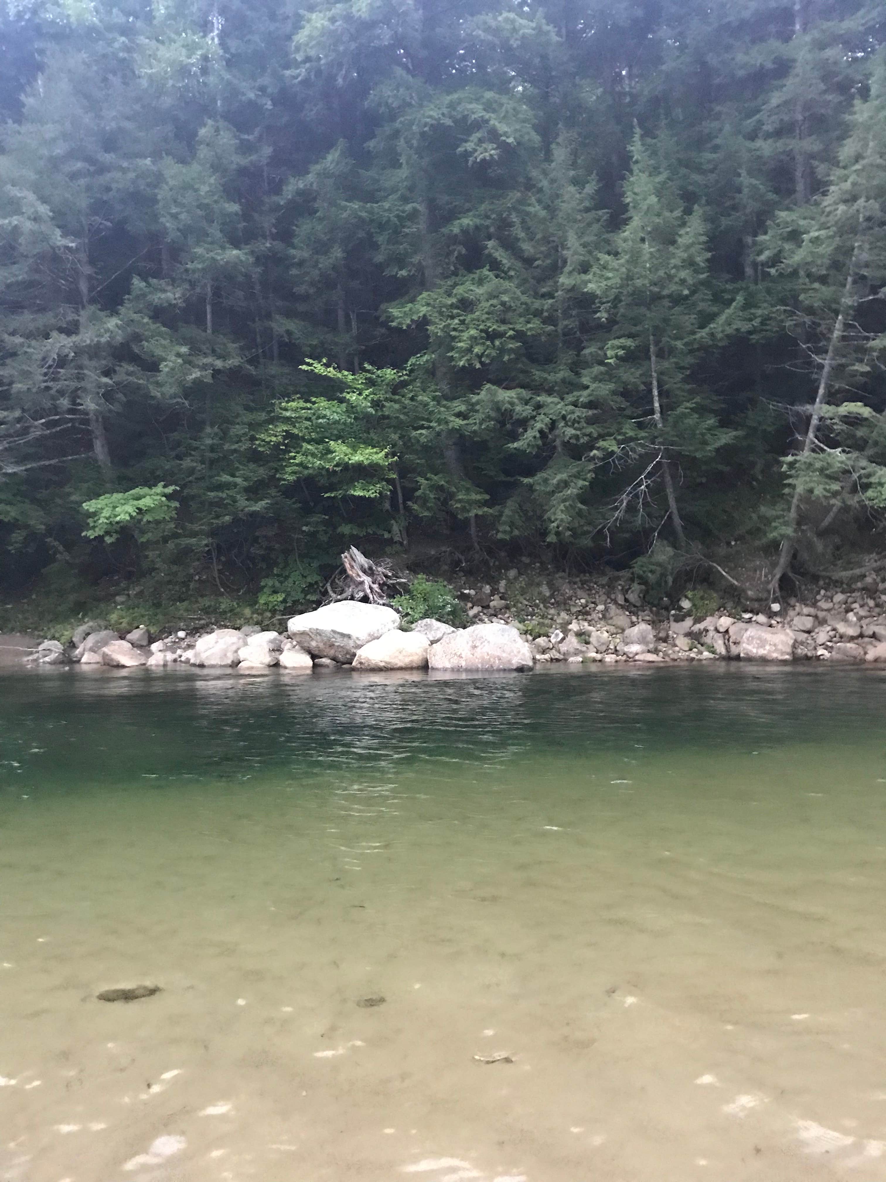 Camper submitted image from Jellystone Park™ Glen Ellis - 5