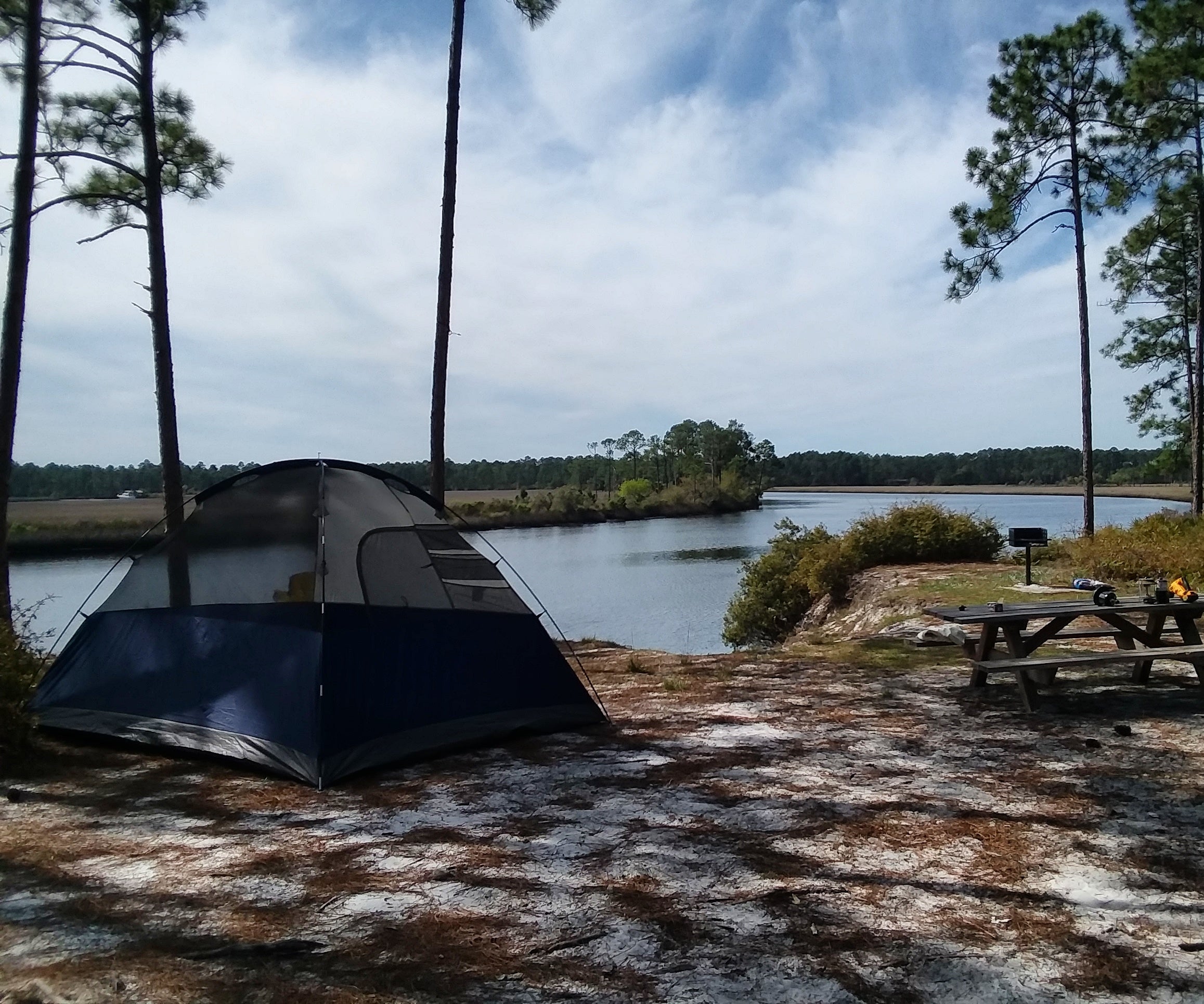 Tate's Hell campsite on the Carrabelle River 