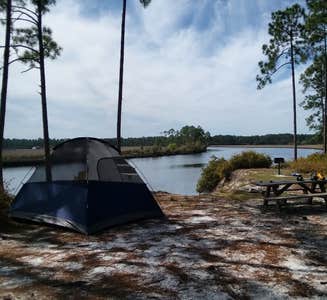 Camper-submitted photo from Tate's Hell State Forest High Bluff Primitive Campsites, FL