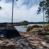 Review photo of Tate's Hell State Forest by irena J., August 29, 2018