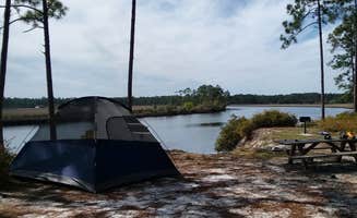 irena J.'s photo at Tate's Hell State Forest near Apalachicola National Forest