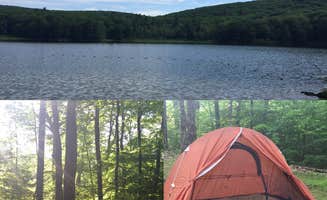 C A.'s photo at Beartown State Forest Campground near West Stockbridge, MA