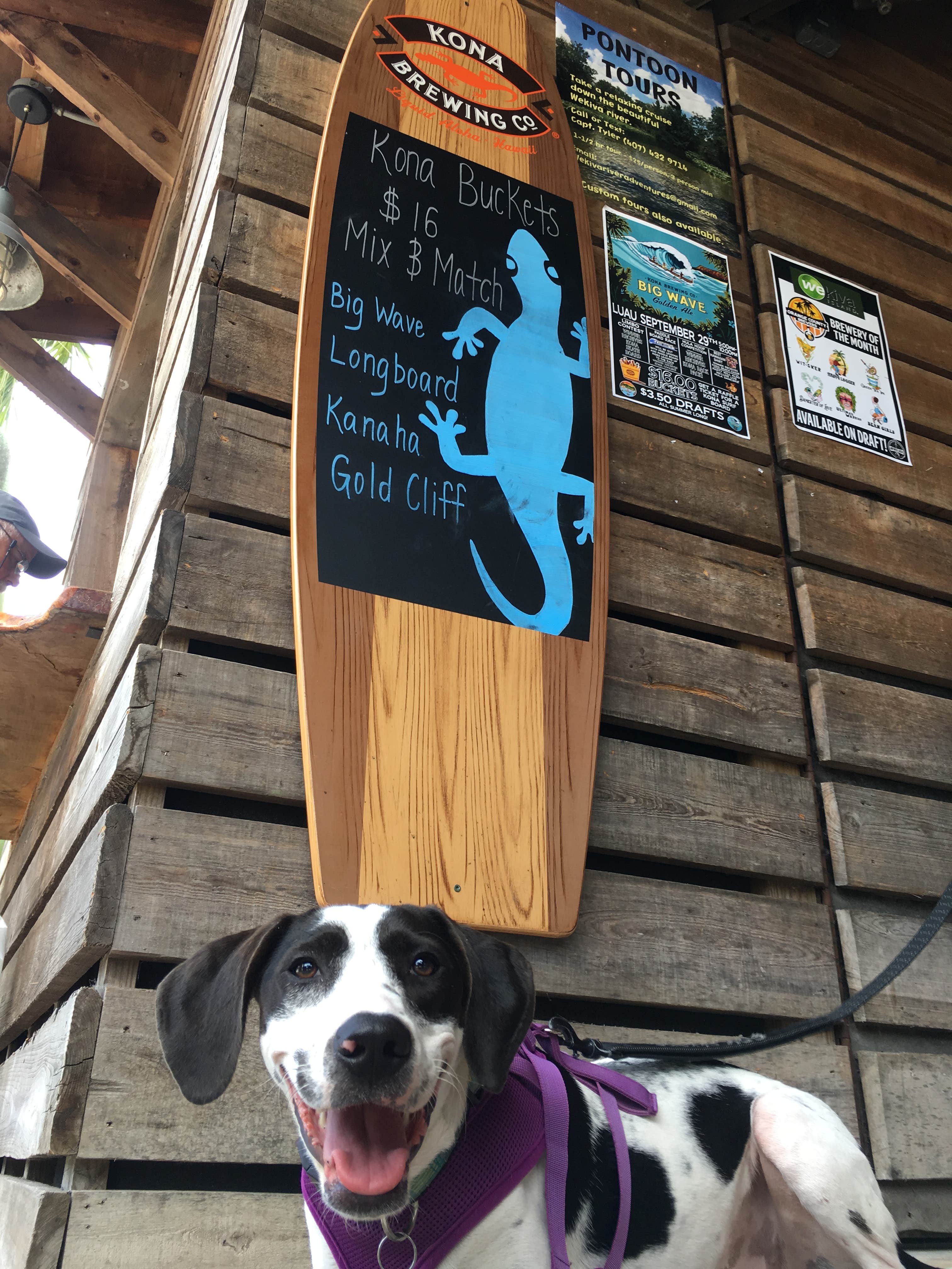 Shayna B.'s photo of camping with pets at Wekiwa Springs State Park Campground near Deltona, FL