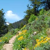Review photo of Jenny Lake Campground — Grand Teton National Park by Thomas H., July 6, 2016