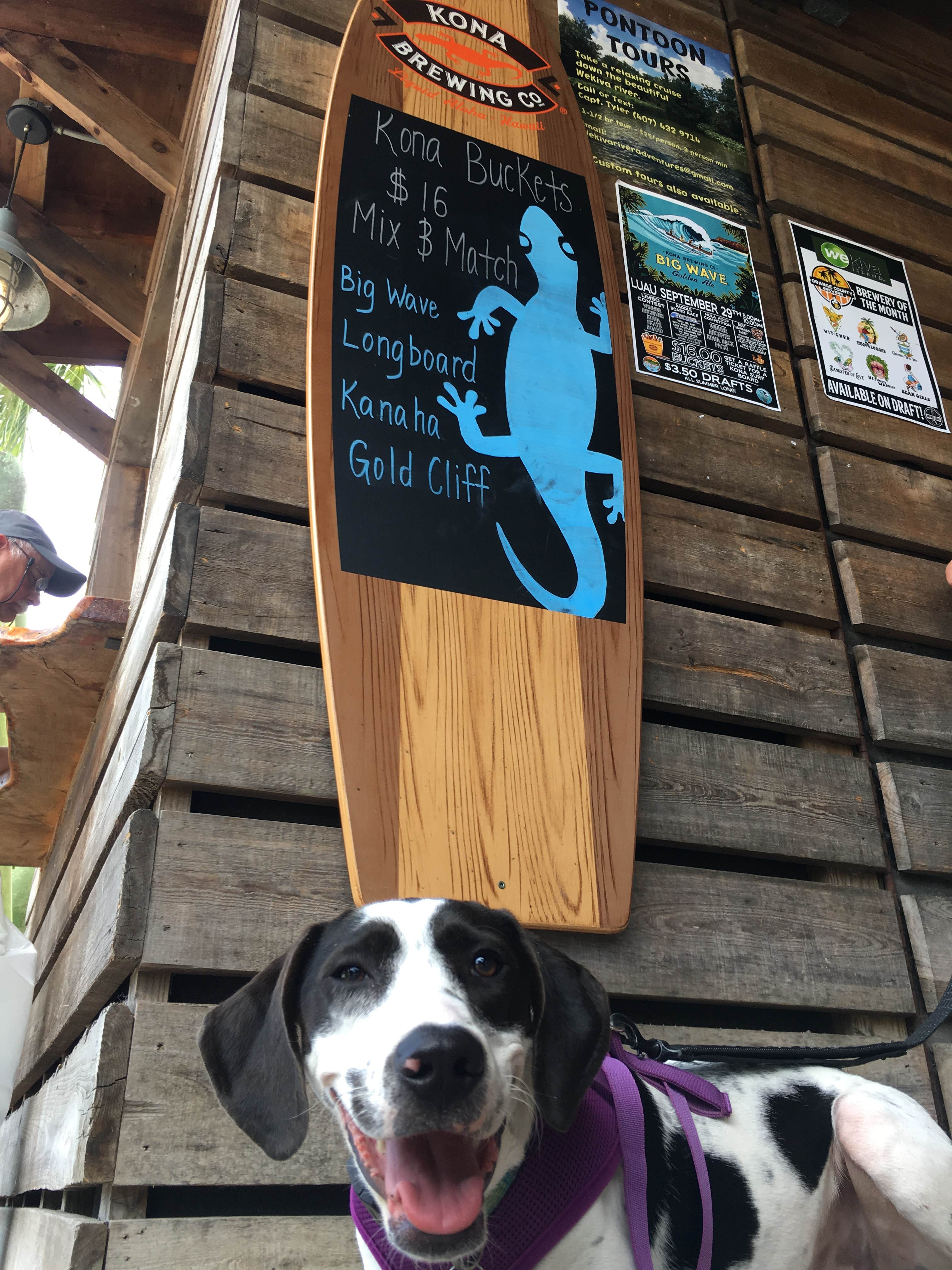 Shayna B.'s photo of camping with pets at Wekiwa Springs State Park Campground near Oviedo, FL