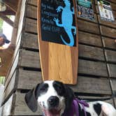 Review photo of Wekiwa Springs State Park Campground by Shayna B., August 29, 2018