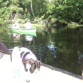 Review photo of Wekiwa Springs State Park Campground by Shayna B., August 29, 2018