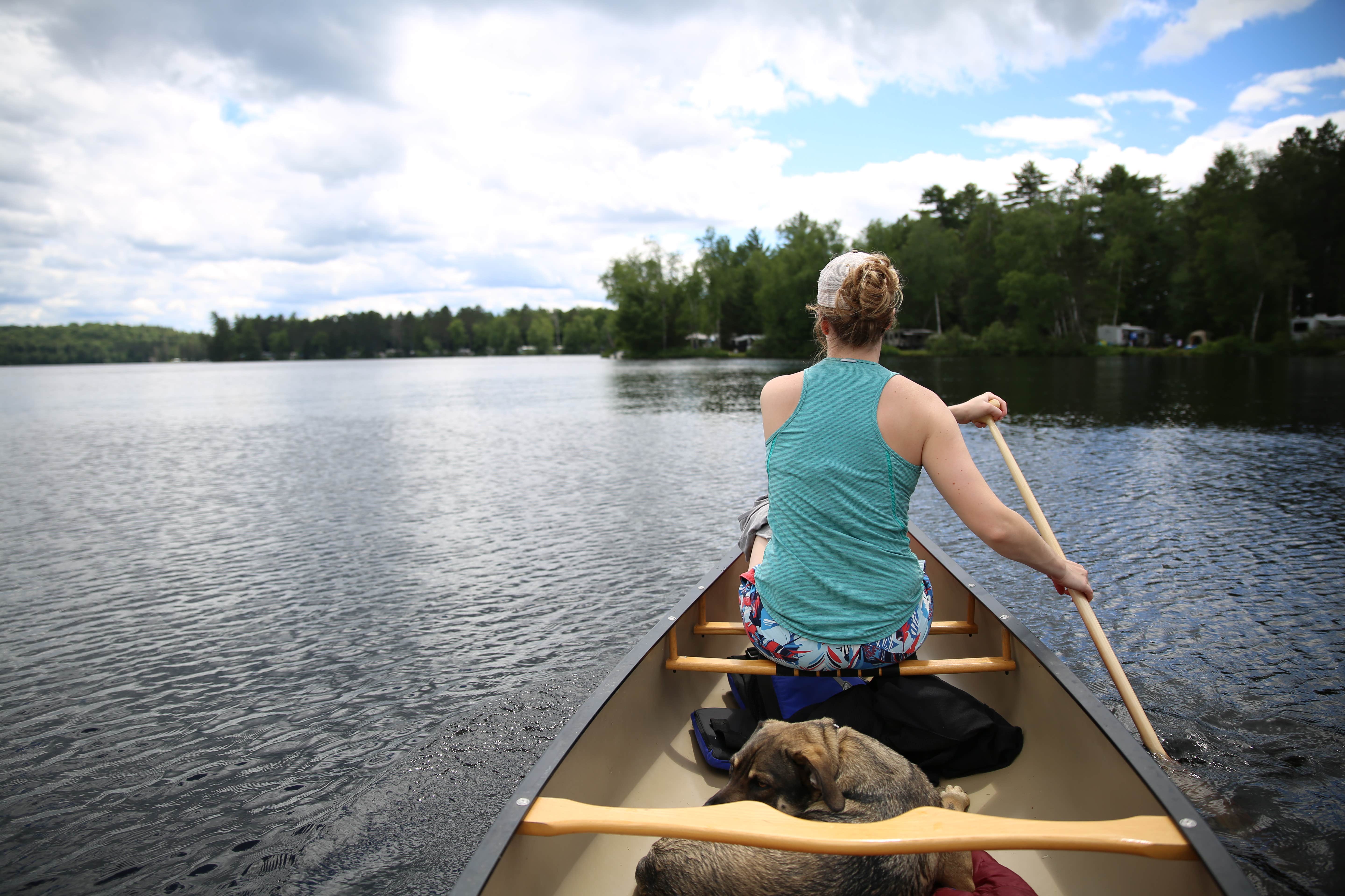 Camper submitted image from Fish Creek Pond - DEC - 5