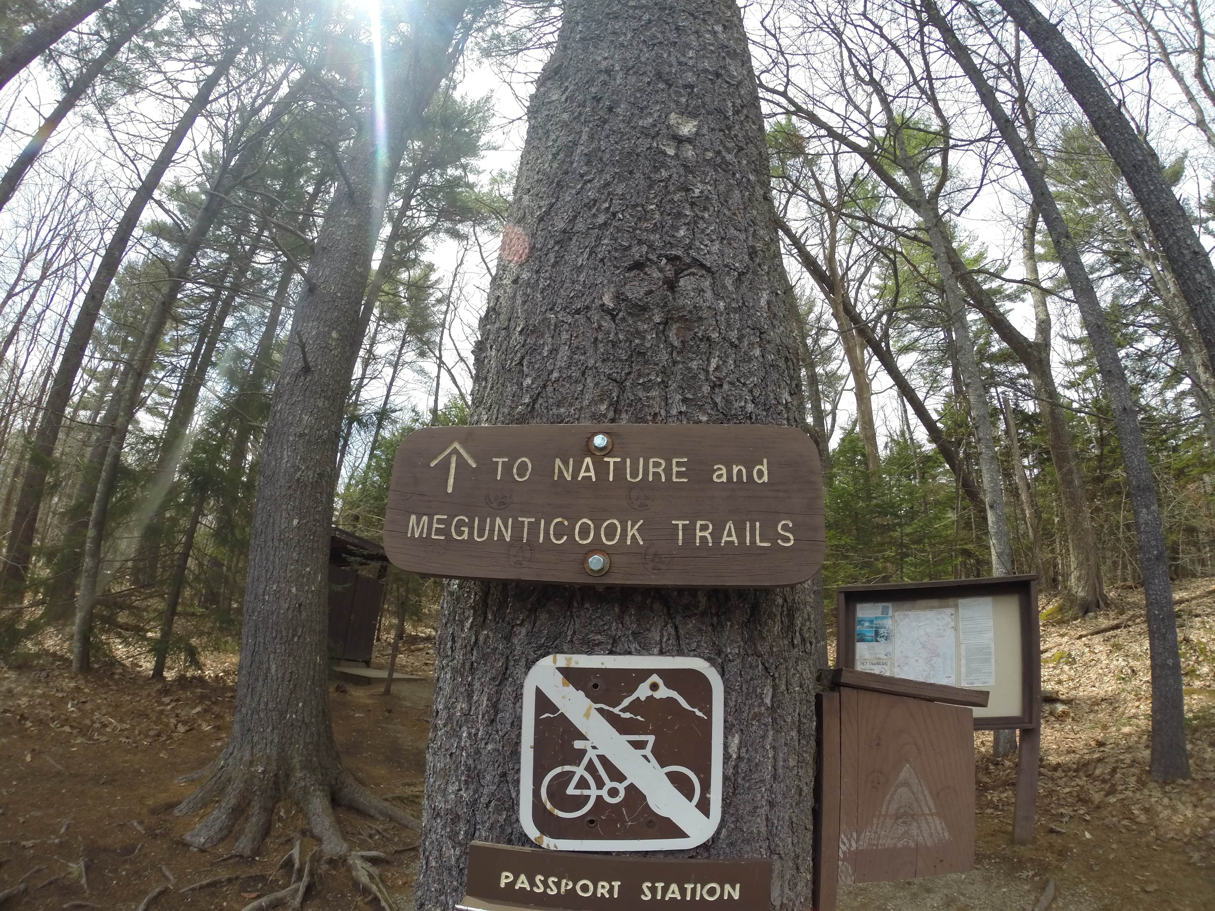 Camper-submitted photo at Camden Hills State Park Campground in Maine