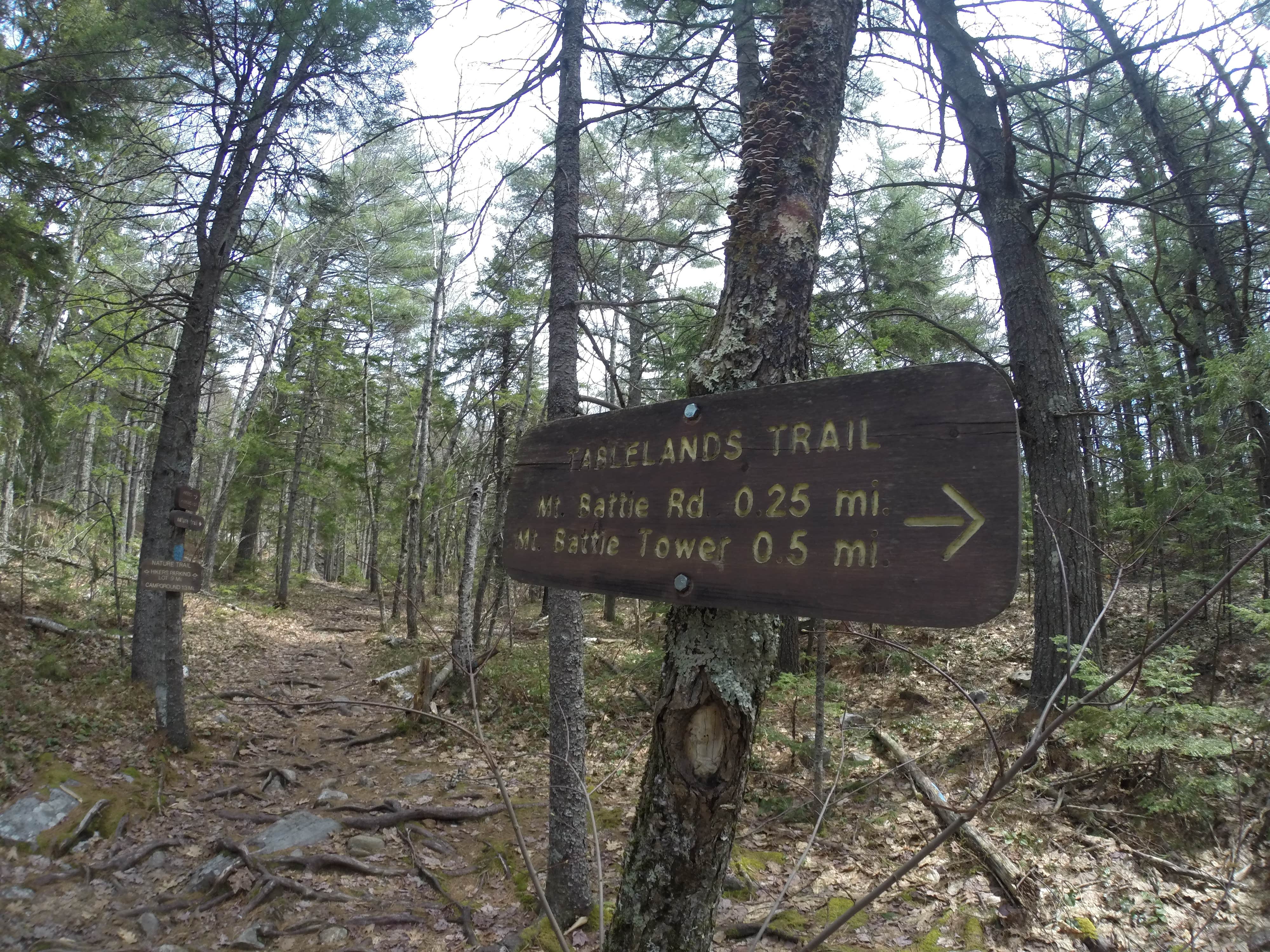 Camper-submitted photo at Camden Hills State Park Campground in Maine