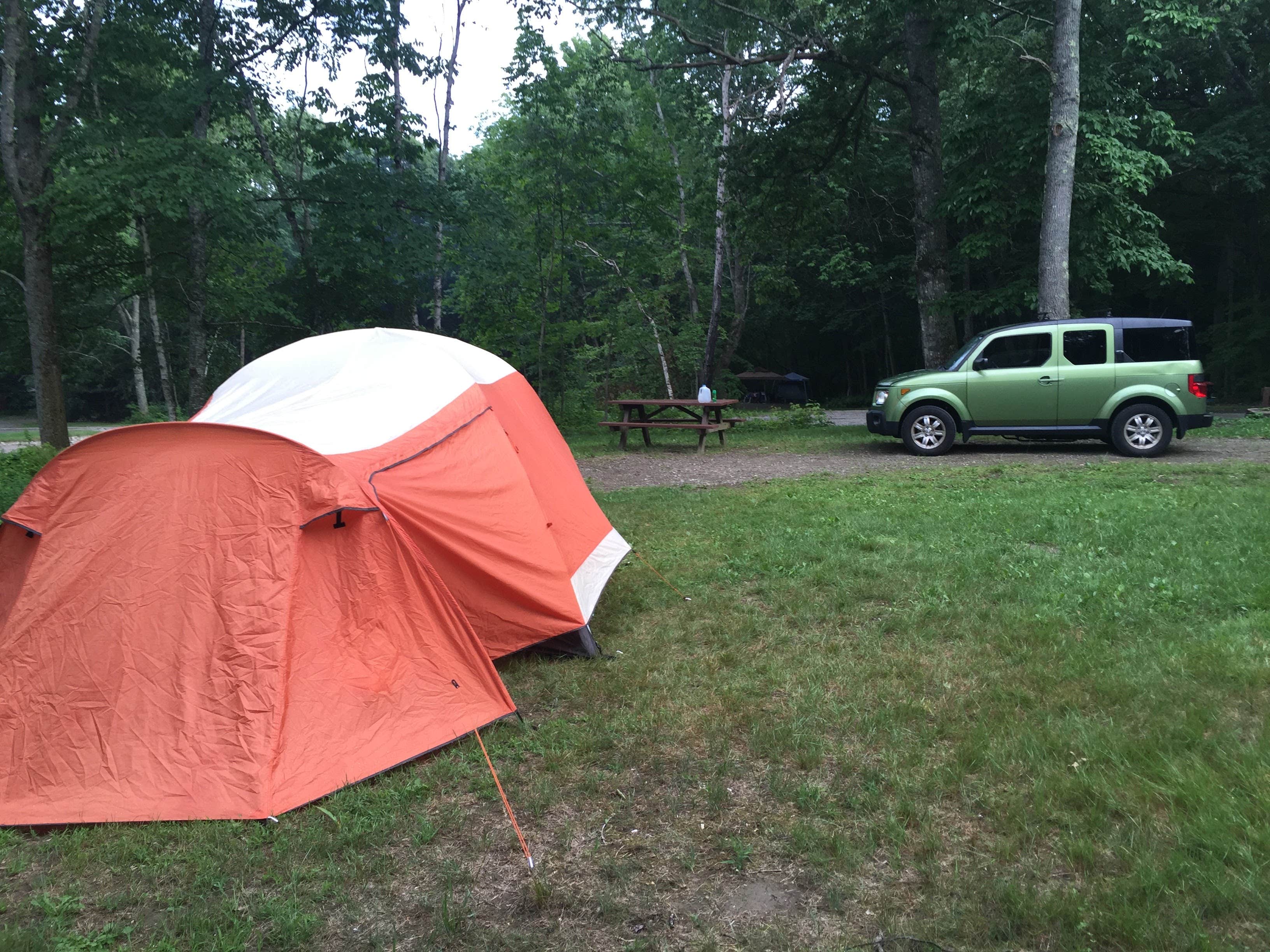 Carly E.'s photo at Camden Hills State Park Campground near Liberty, ME