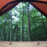 Review photo of Camden Hills State Park Campground by Carly E., August 29, 2018