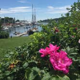 Review photo of Camden Hills State Park Campground by Carly E., August 29, 2018