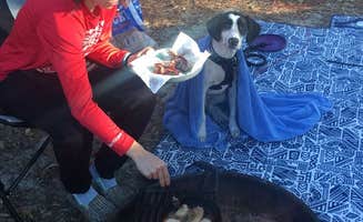 Shayna B.'s photo at Shangri-La Trailhead & Campground near Belleview, FL