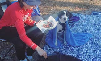 Shayna B.'s photo of camping with pets at Shangri-La Trailhead & Campground near Holder, FL