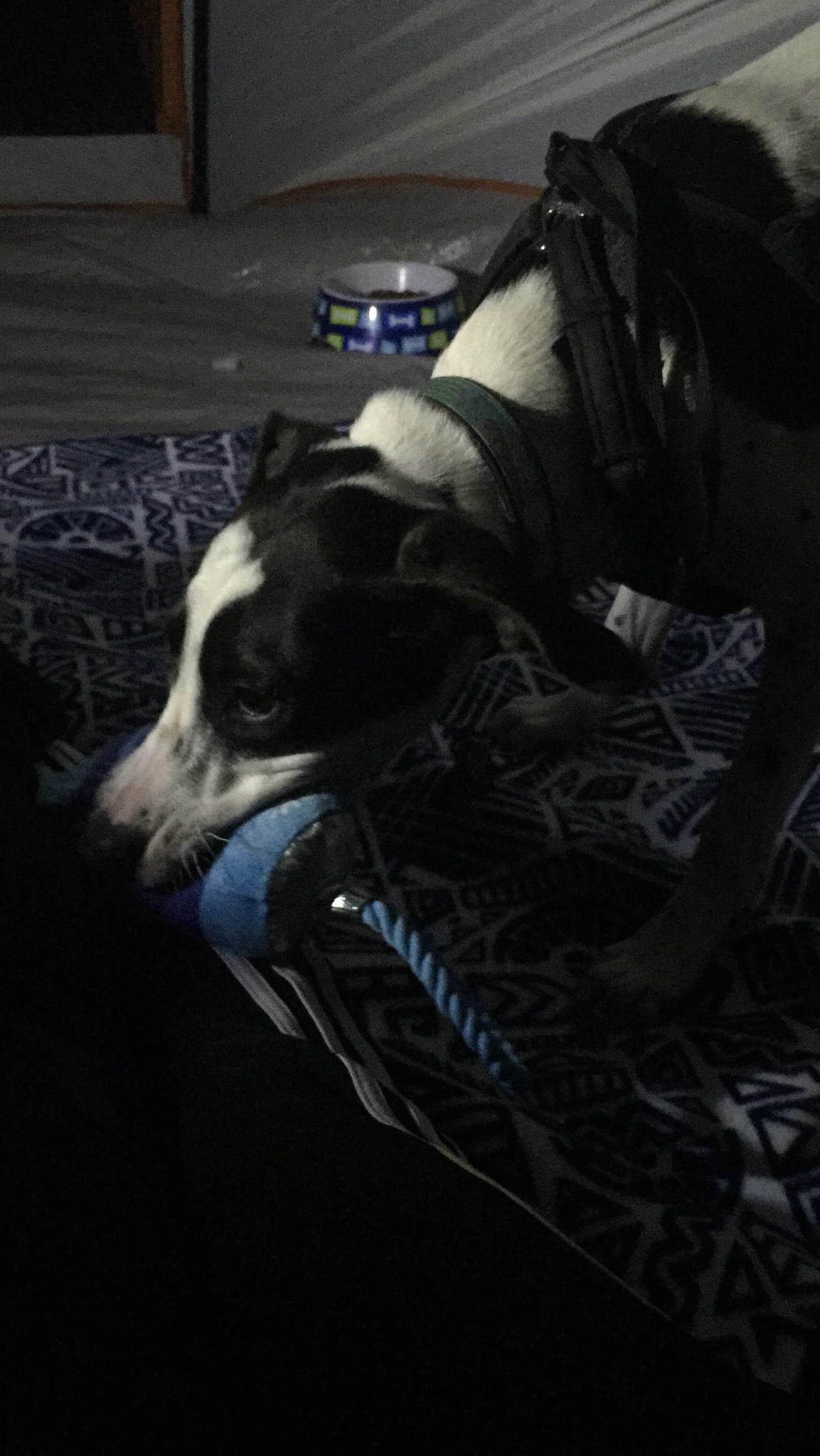 Camper-submitted photo at Shangri-La Trailhead & Campground near Hernando, FL