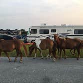 Review photo of Assateague State Park Campground by Tori V., August 29, 2018