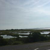 Review photo of Assateague State Park Campground by Tori V., August 29, 2018