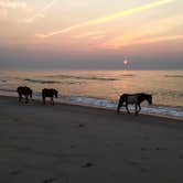 Review photo of Assateague State Park Campground by Tori V., August 29, 2018