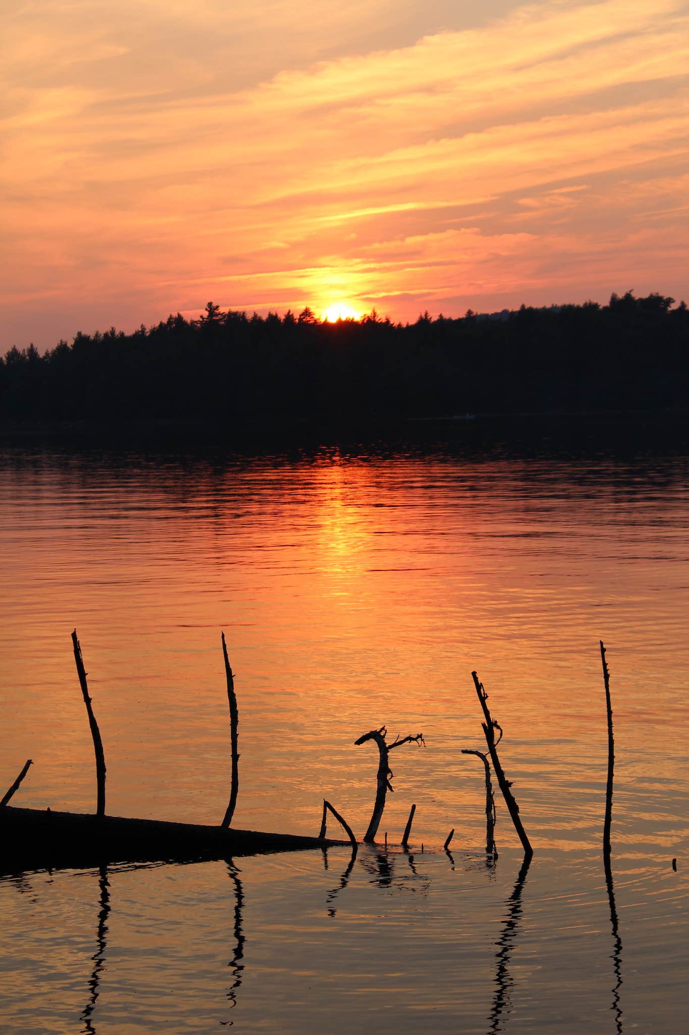 Camper submitted image from Forked Lake Adirondack Preserve - 2