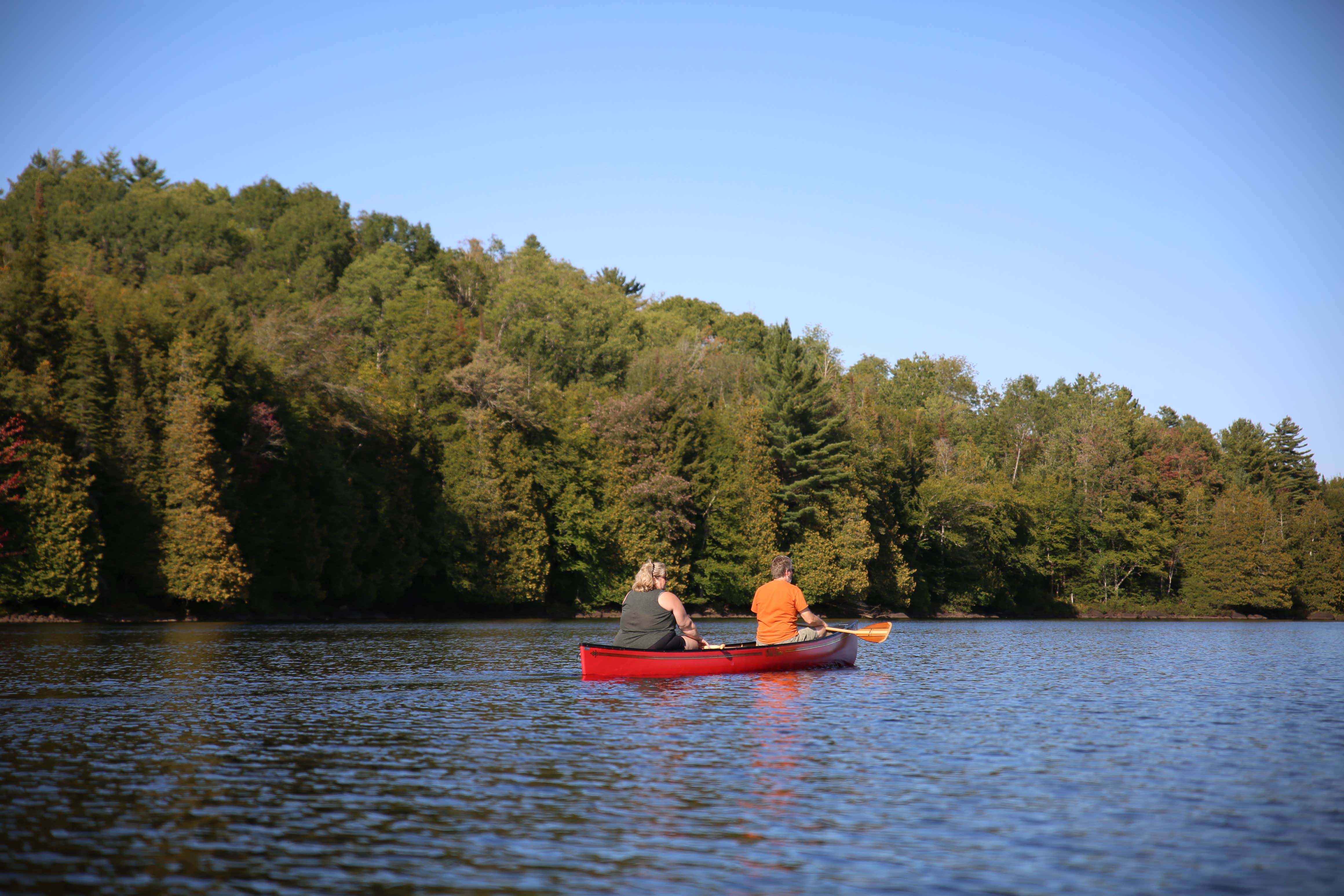 Lake Harris Campground Camping | The Dyrt