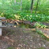 Review photo of Lake-In-Wood Campground by Charlotte D., August 29, 2018
