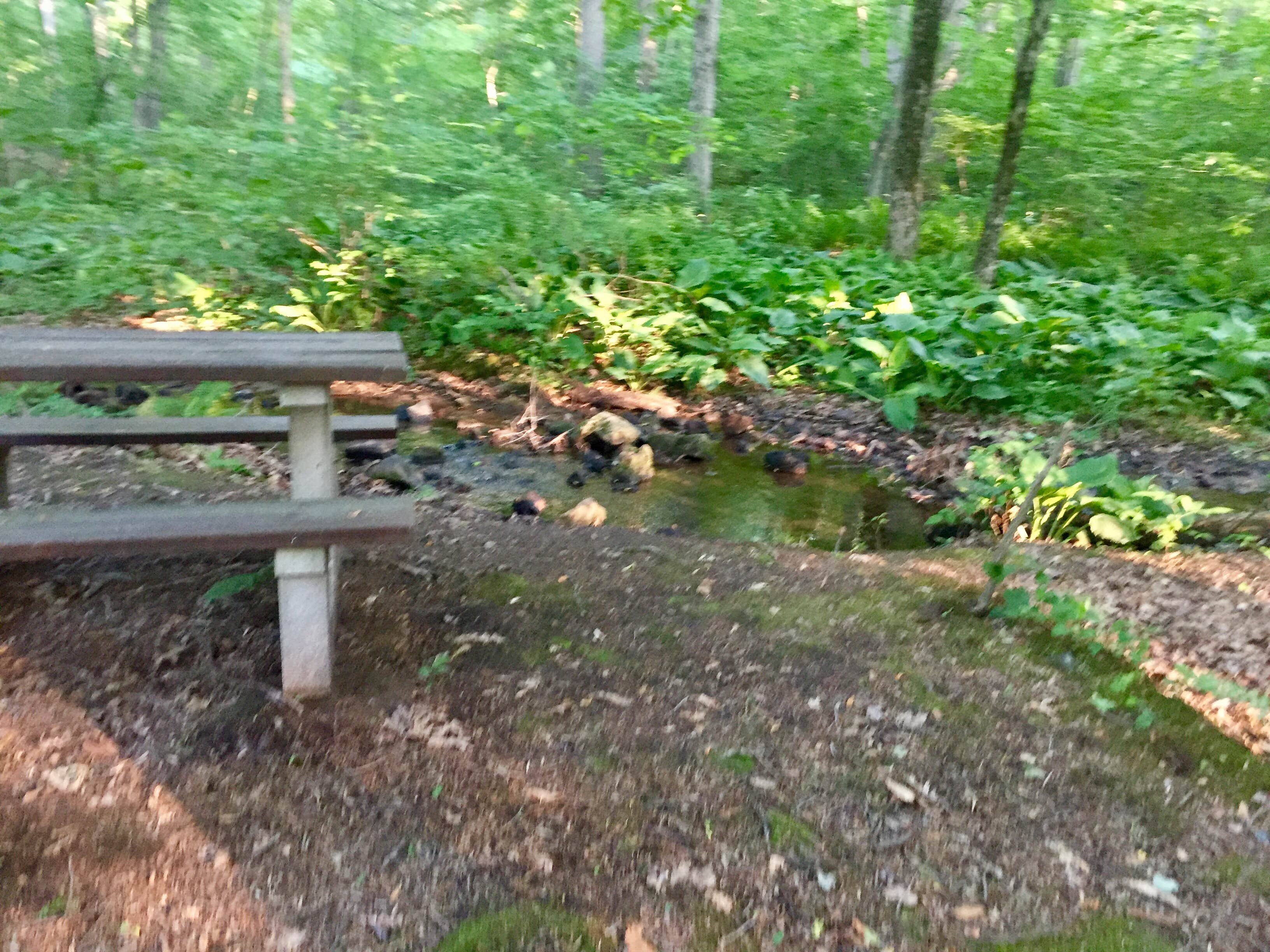 Quiet pinic spot.