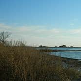 Review photo of Bayside Assateague Campground — Assateague Island National Seashore by Tori V., August 29, 2018