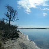 Review photo of Bayside Assateague Campground — Assateague Island National Seashore by Tori V., August 29, 2018