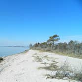 Review photo of Bayside Assateague Campground — Assateague Island National Seashore by Tori V., August 29, 2018