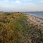 Review photo of Oceanside Assateague Campground — Assateague Island National Seashore by Tori V., August 29, 2018