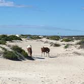 Review photo of Oceanside Assateague Campground — Assateague Island National Seashore by Tori V., August 29, 2018