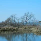 Review photo of Oceanside Assateague Campground — Assateague Island National Seashore by Tori V., August 29, 2018