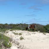 Review photo of Oceanside Assateague Campground — Assateague Island National Seashore by Tori V., August 29, 2018