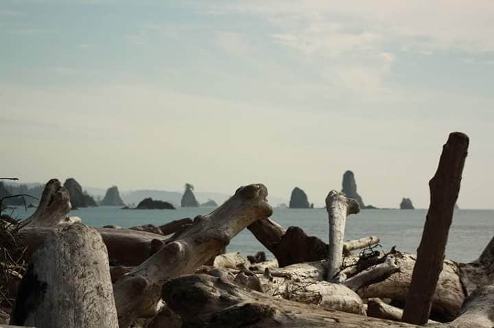 Camper-submitted photo at Mora Campground — Olympic National Park in Washington