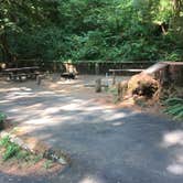 Review photo of Yellowbottom Recreation Site — Quartzville Creek Wild And Scenic River by Darrin M., August 29, 2018