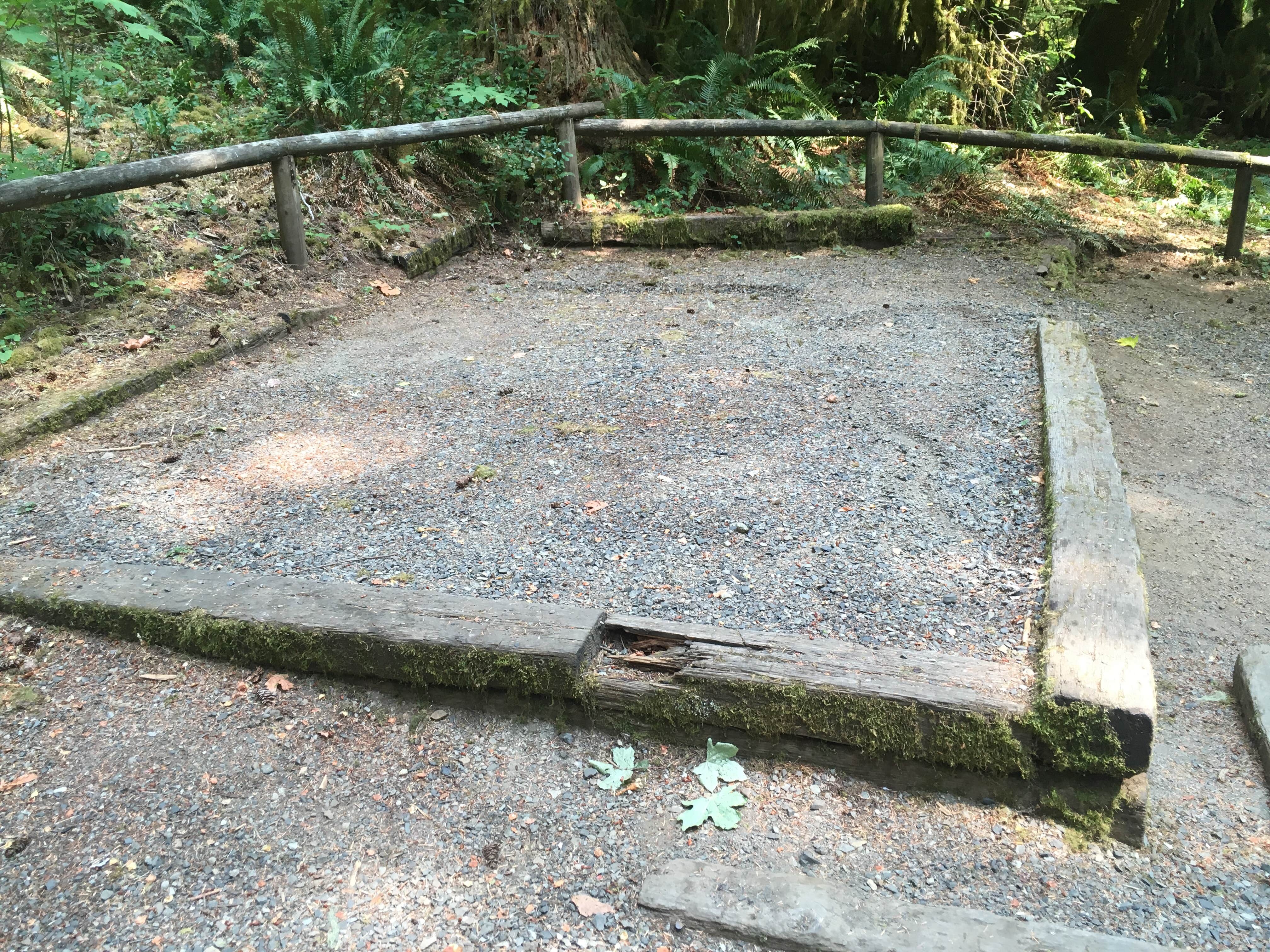 Camper submitted image from Yellowbottom Recreation Site — Quartzville Creek Wild And Scenic River - 5